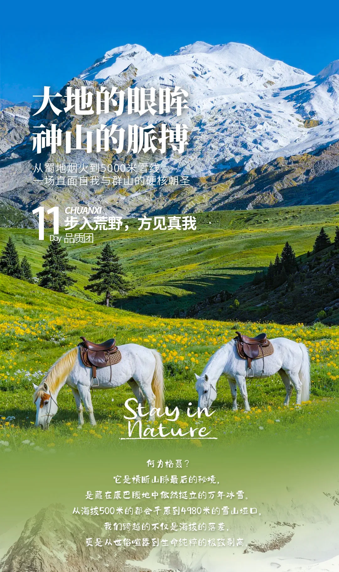 格聂C线